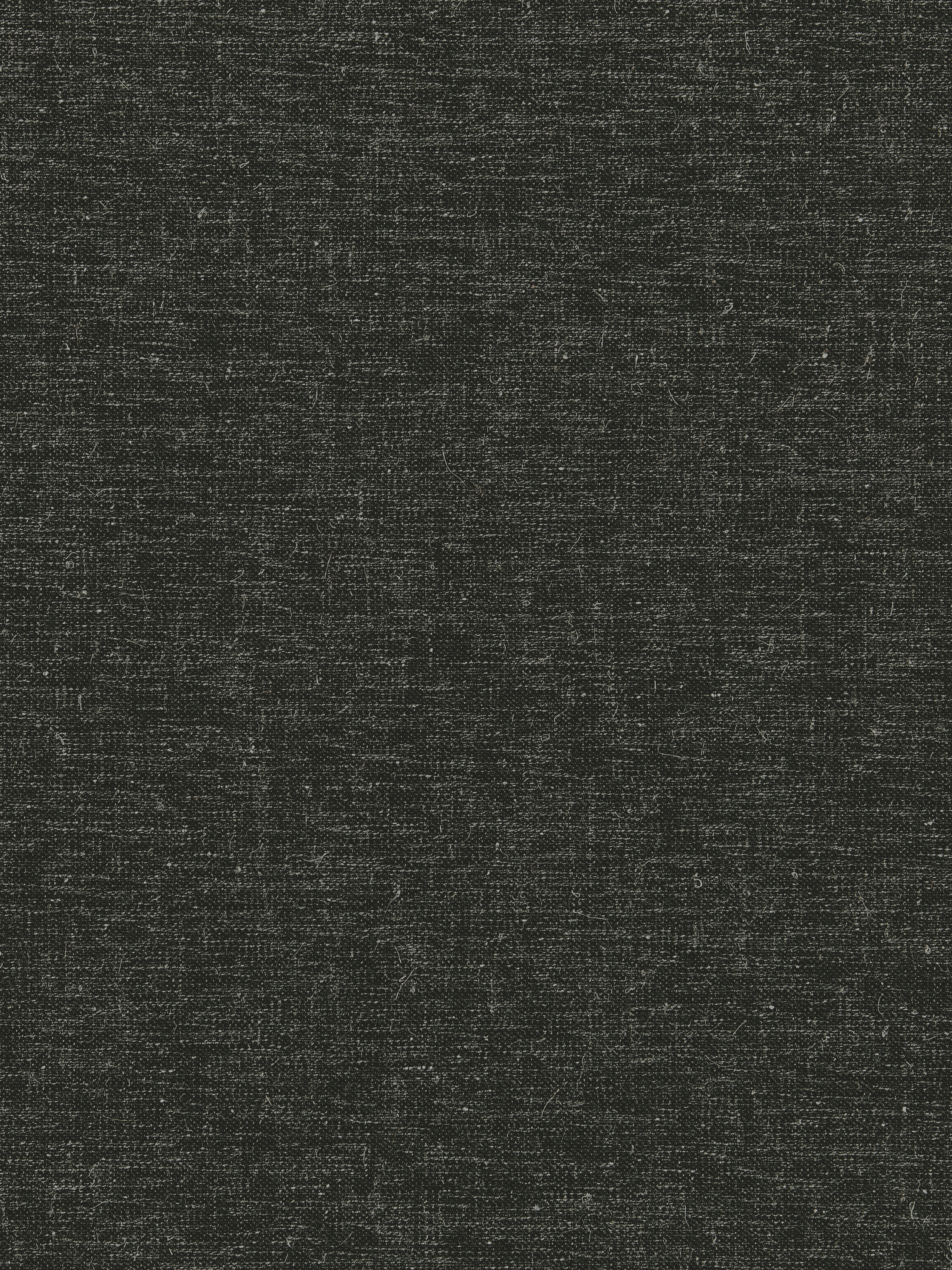W80255
