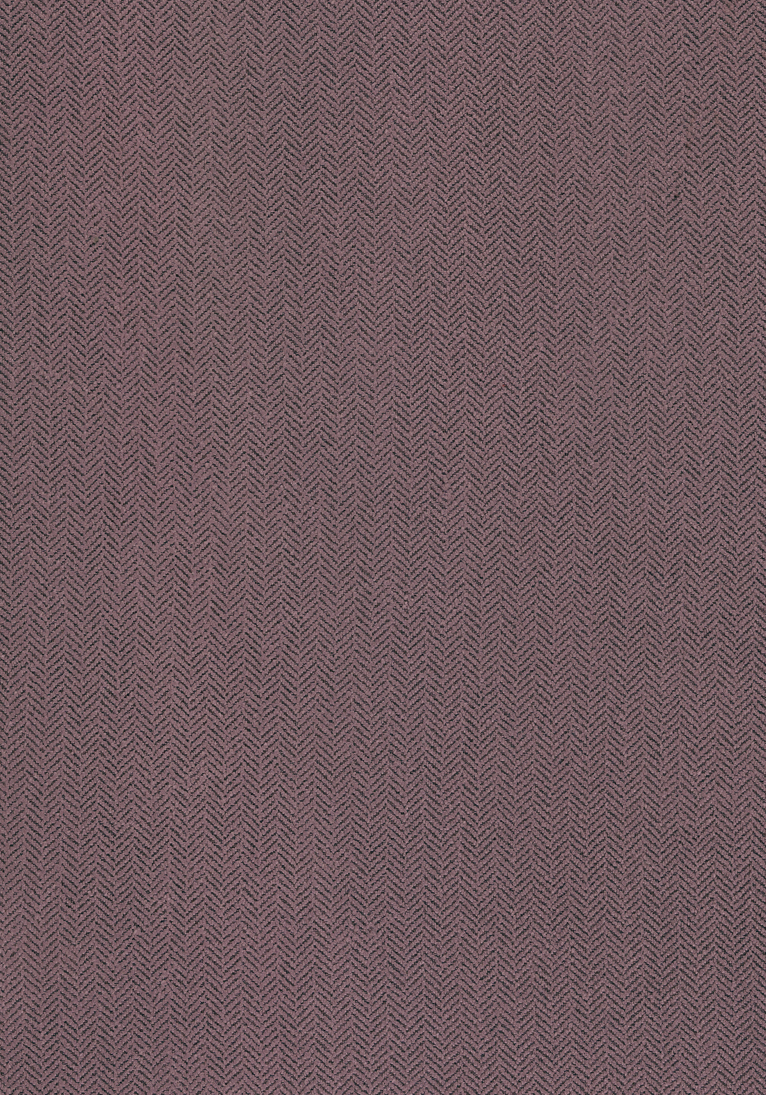 W72954