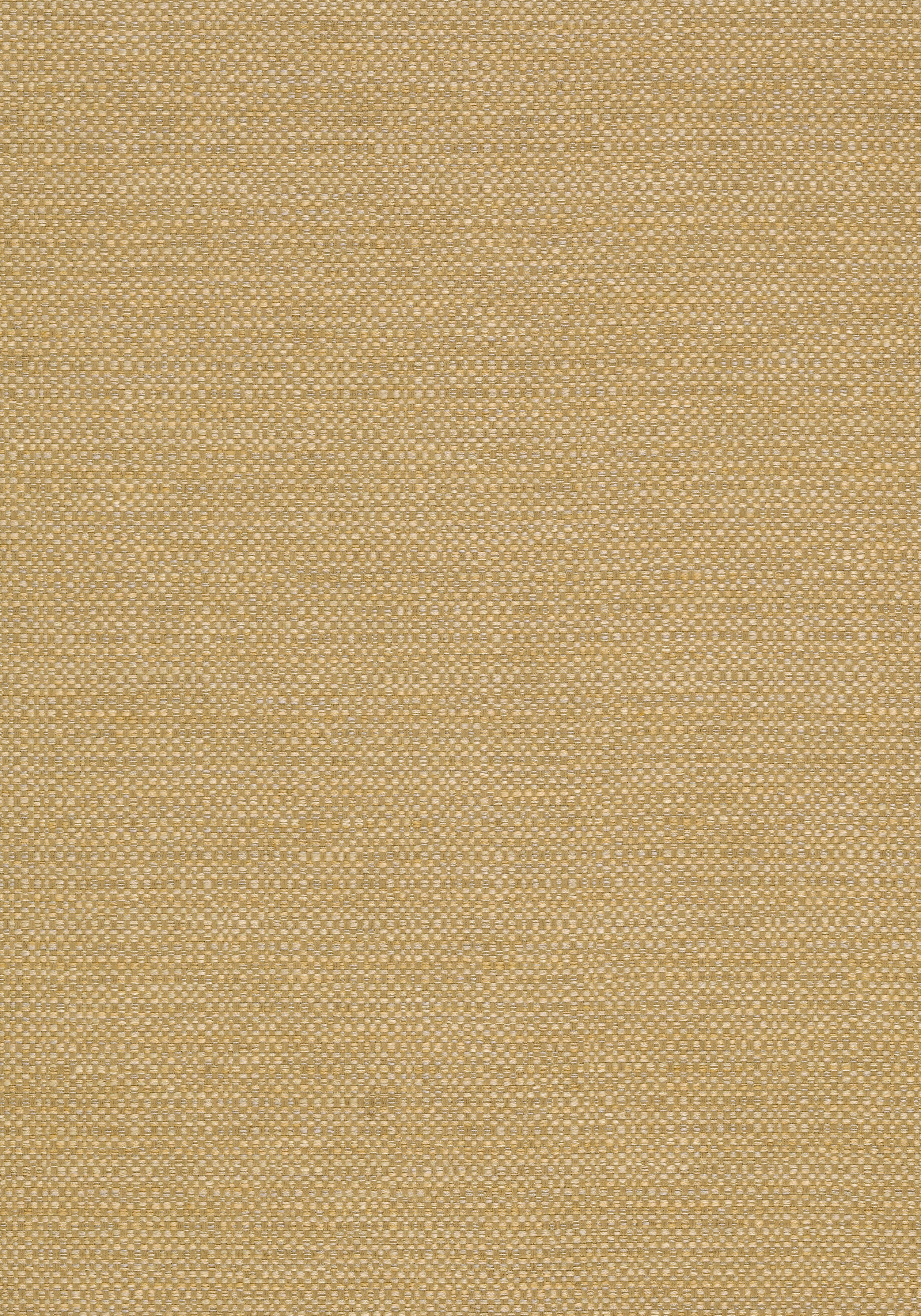 W74504
