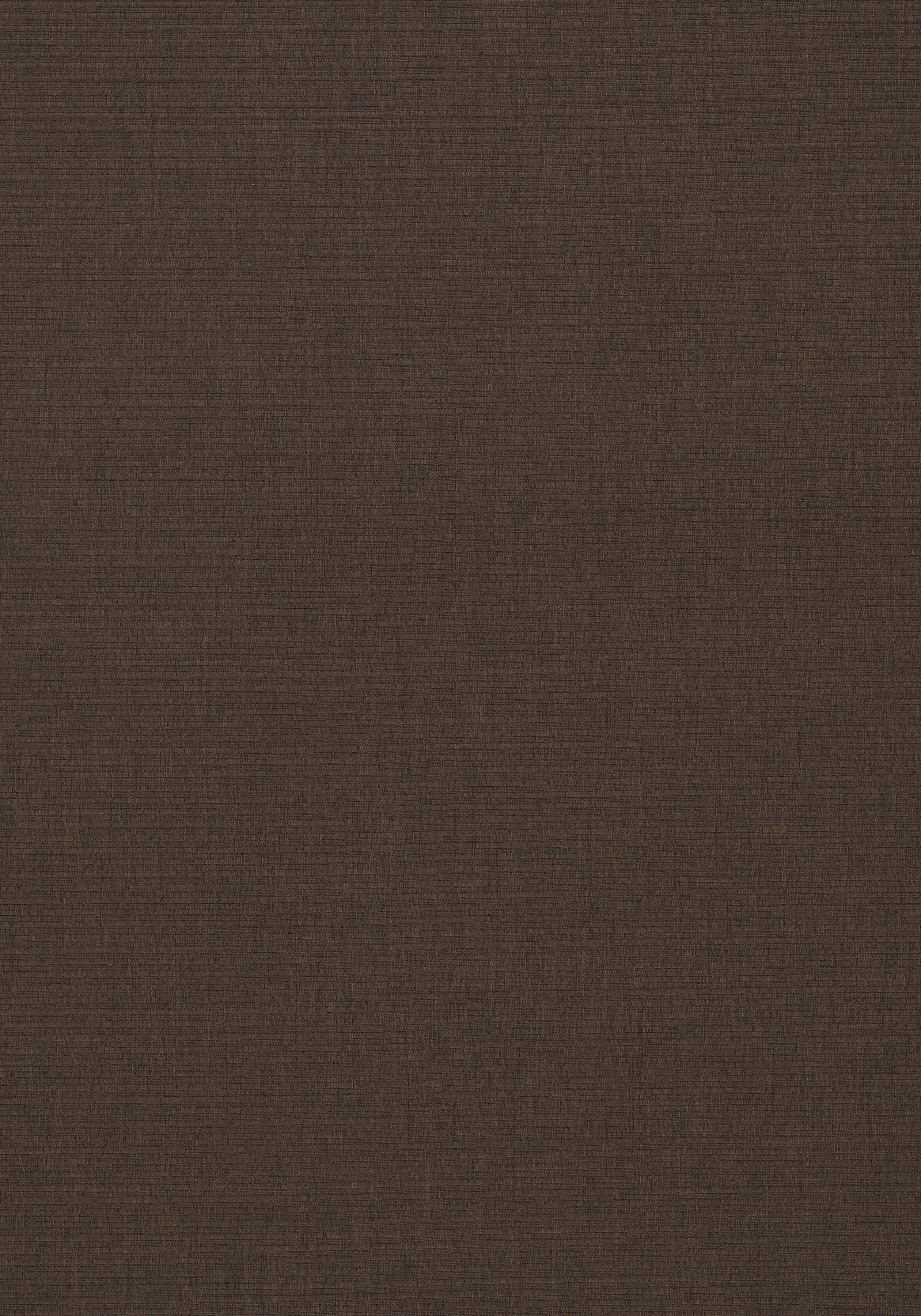 W74545