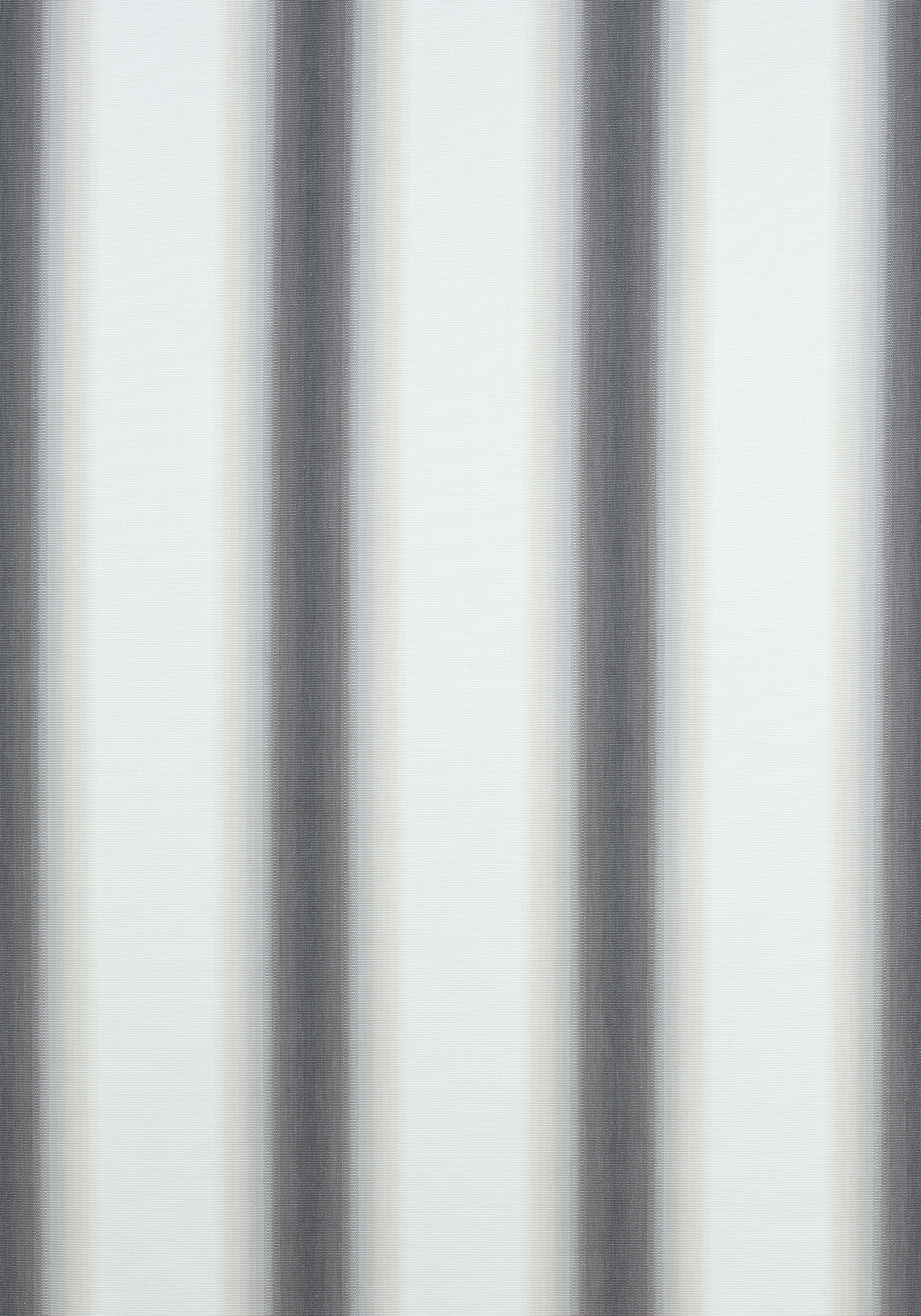 W775494