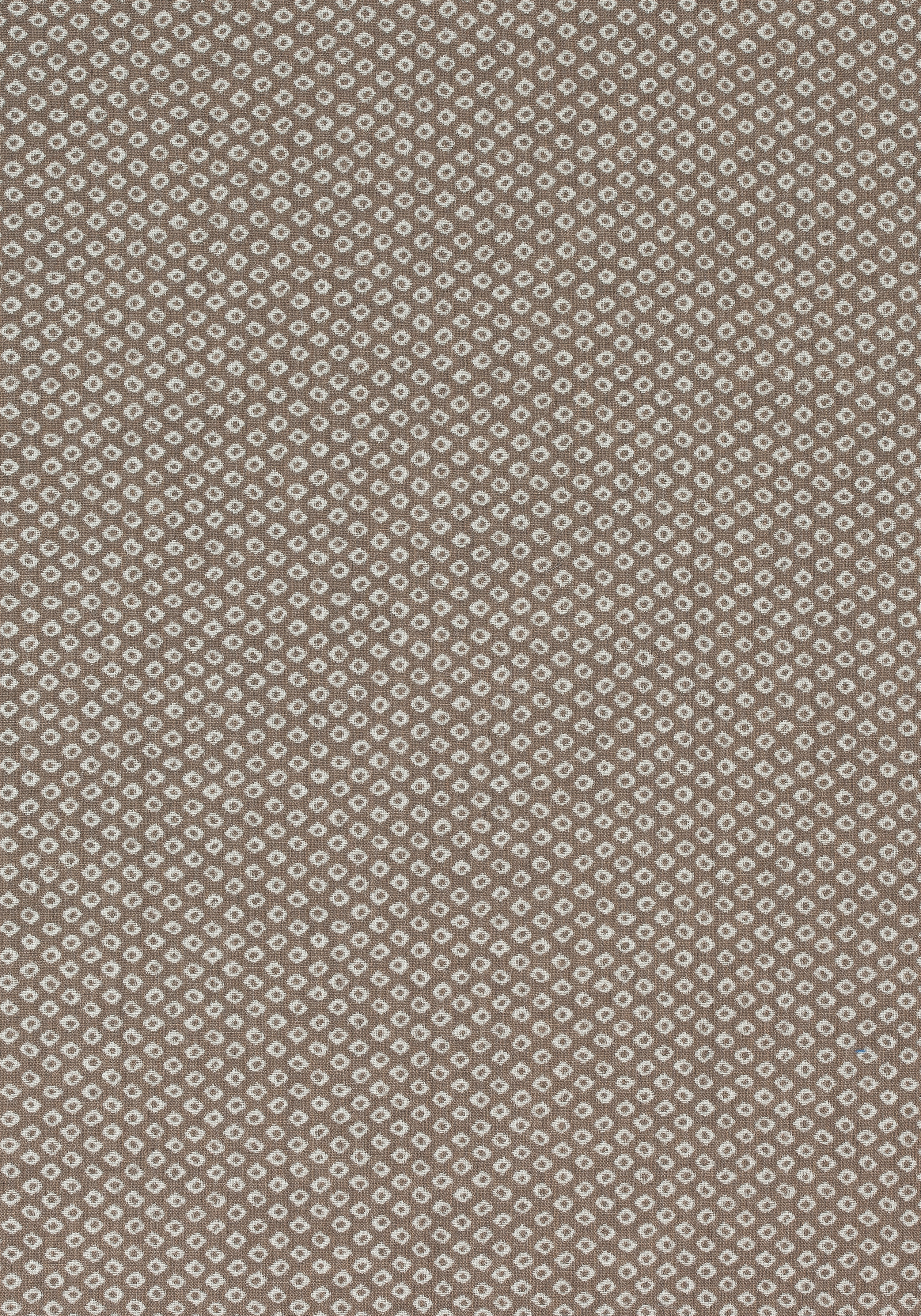 W80031