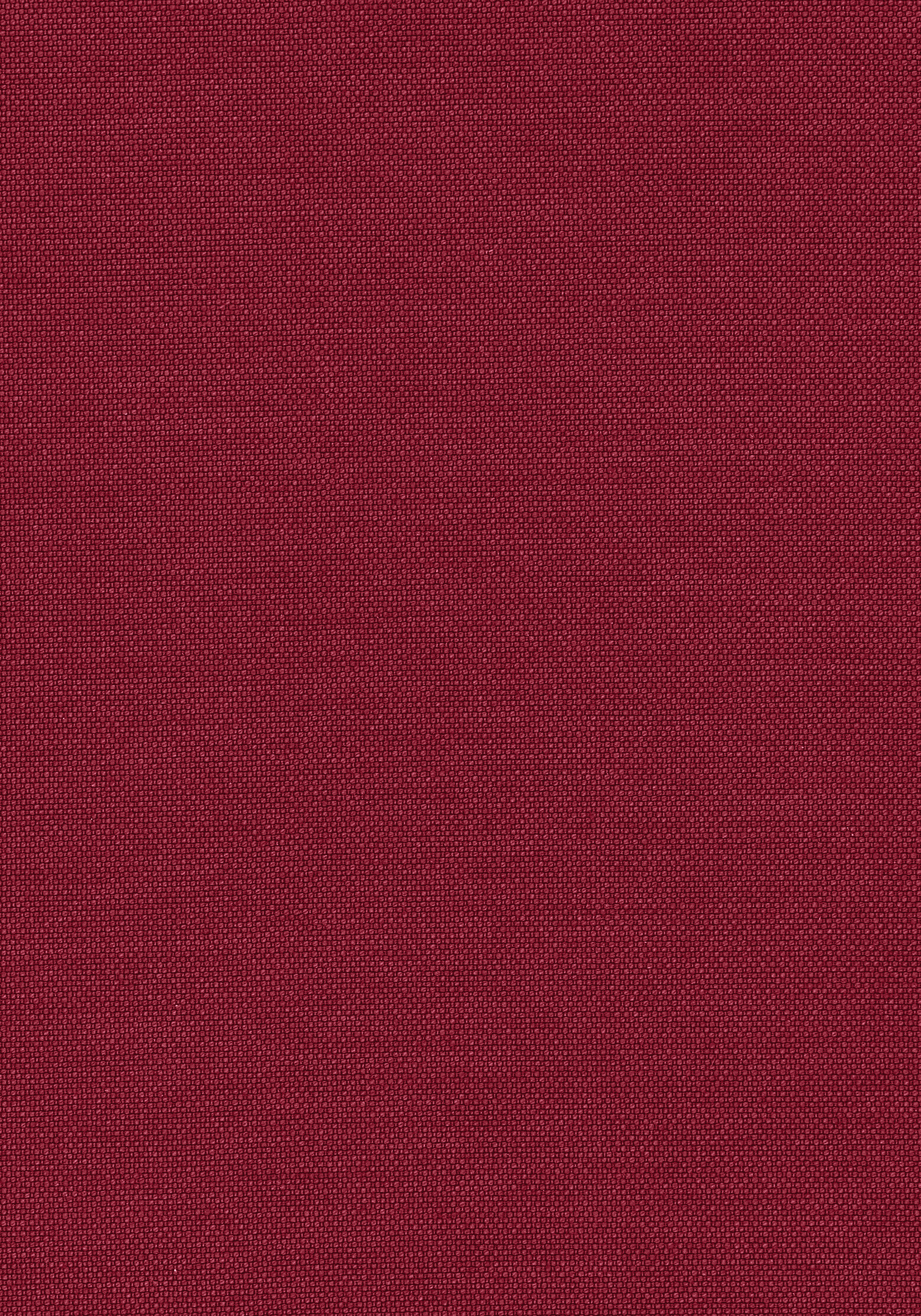 W80281