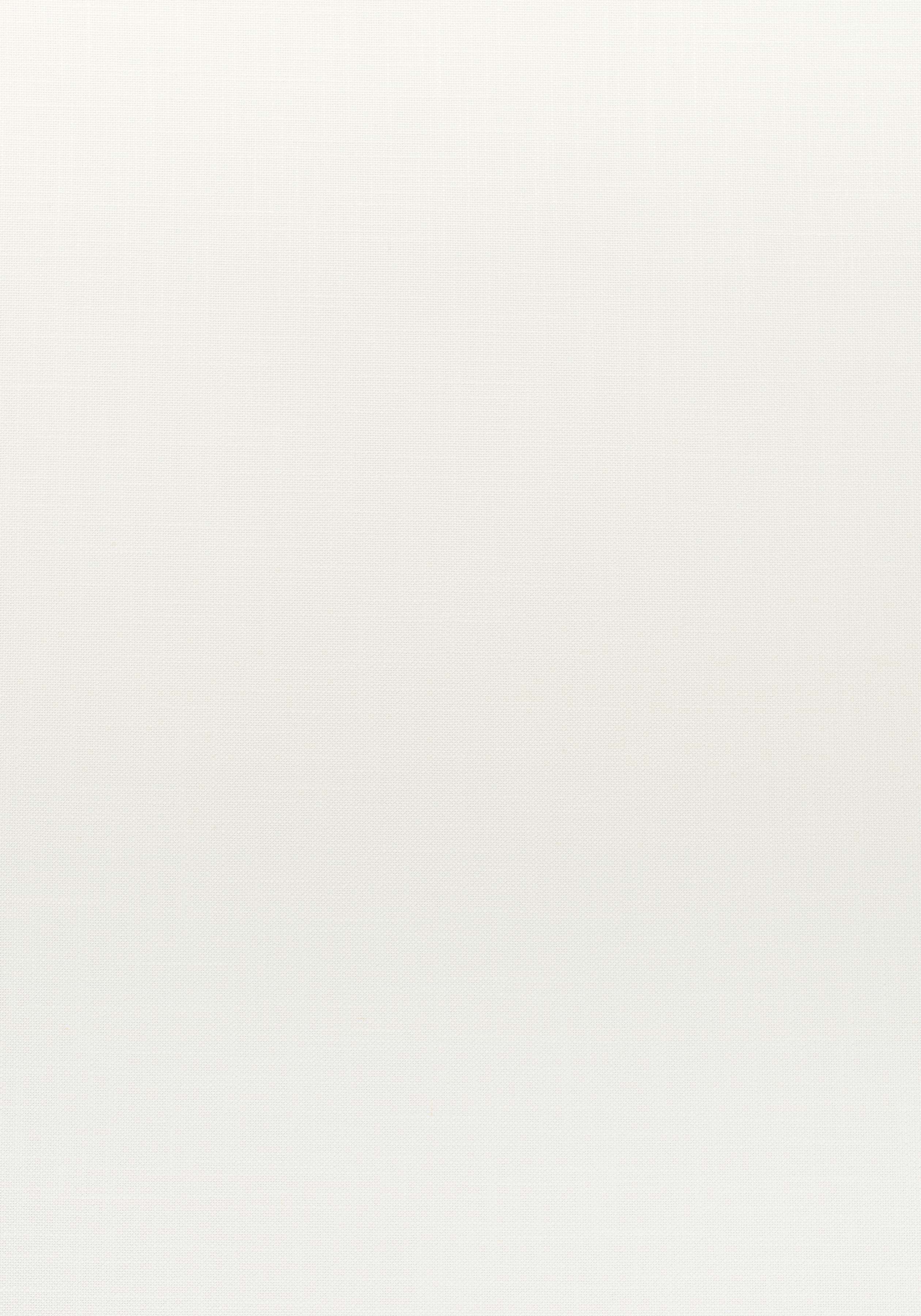 W80461