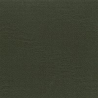 Metallic Bronze