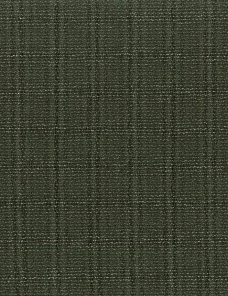 Metallic Bronze