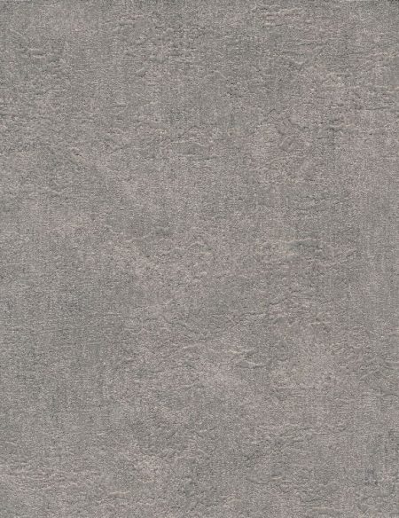 BL02-5019