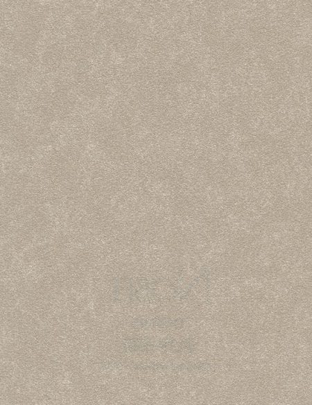 BL19-5181