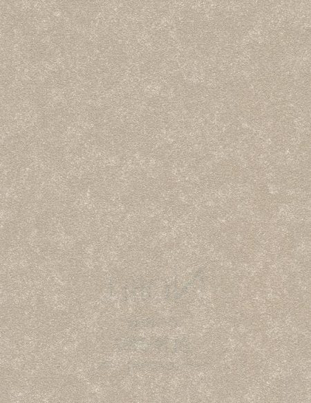 BL19-5182