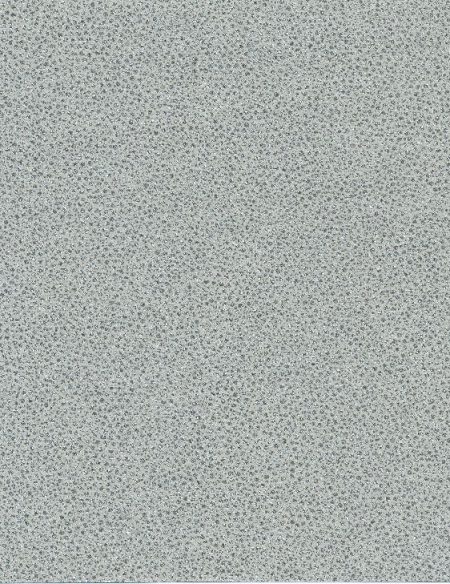 SJC312-1101
