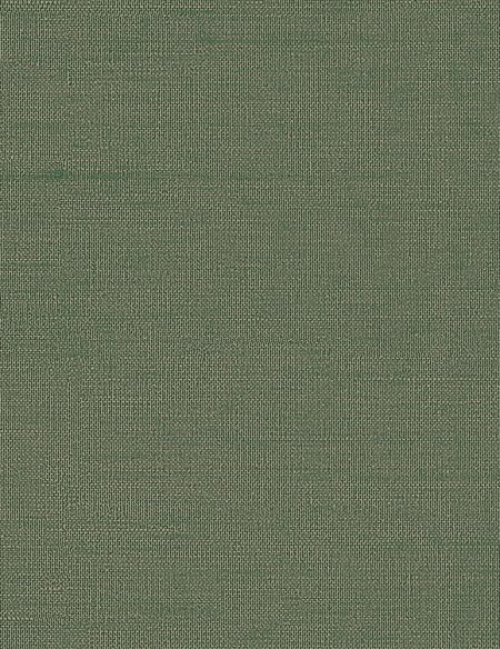 HPT408