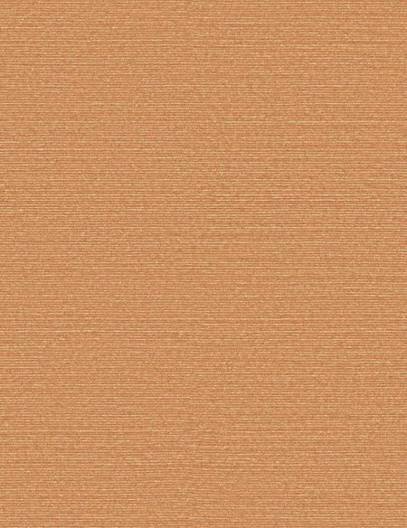 HPT502
