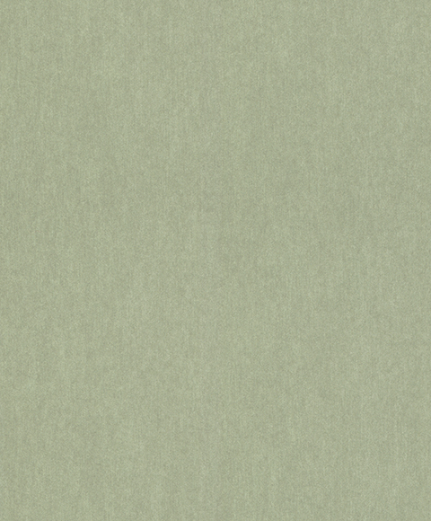 298986(R)
