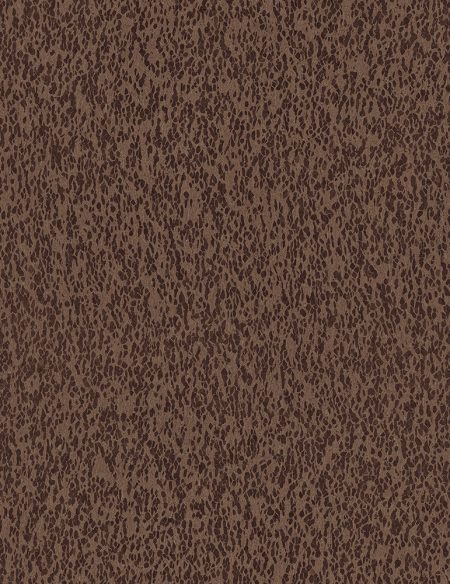 CAS32